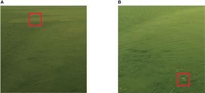 Tensor adaptive reconstruction cascaded with spatial-spectral fusion for marine target detection